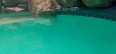 Zakalená mléčná voda v bazénu u kamenného obložení.