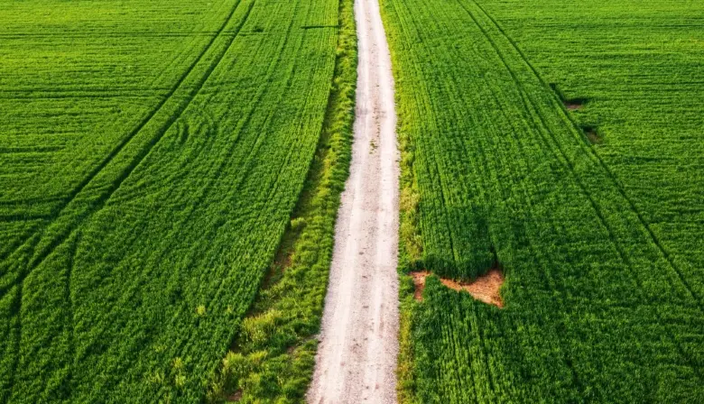 Zelené pole s prachovou cestou vedoucí skrze něj.
