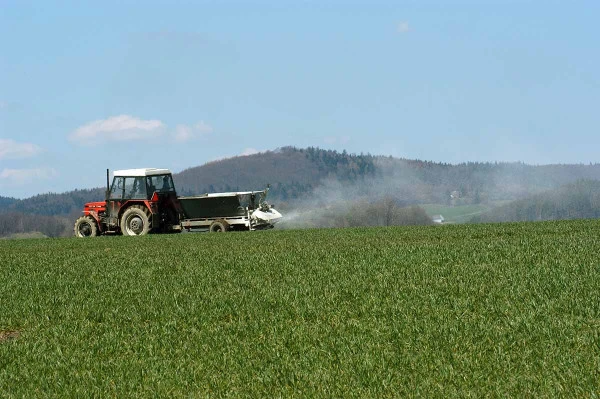 Traktor rozstřikuje zeolit na zelené plodiny v poli.