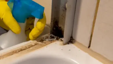Ručník s rukavicí čistí černou plíseň v koutě vaničky.