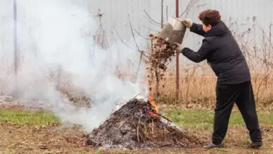 Muž hází listy do ohně na zahradě.