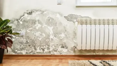 Černá plíseň na zdi u radiátoru v interiéru