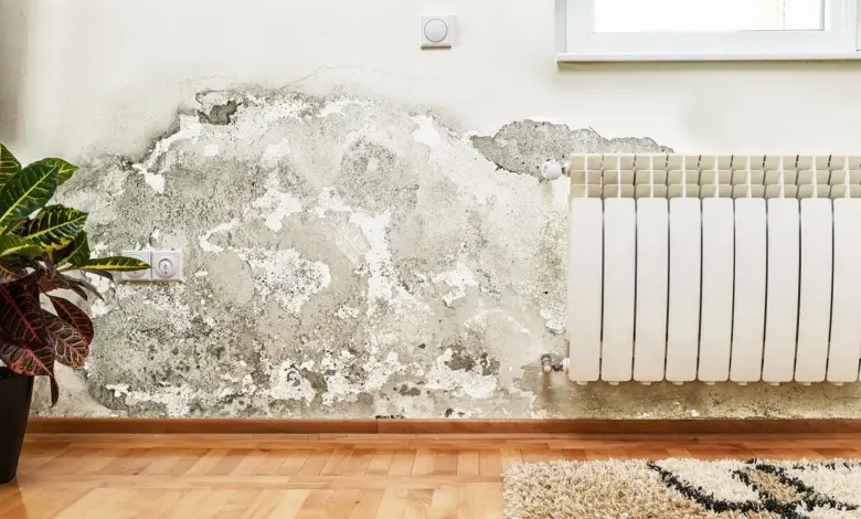 Černá plíseň na zdi u radiátoru v interiéru