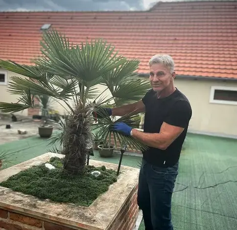 Muž upravuje dlan na střešní zahradě.