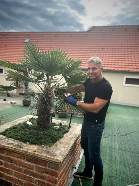 Muž upravuje dlan na střešní zahradě.