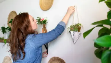 Žena zavěšuje rostlinu na zeď při úpravách interiéru.