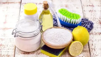 Domácí čisticí prostředky jako sůl, citrony a prášek na čištění.