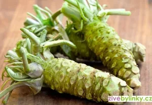 Čerstvé kořeny byliny wasabi s listovými vršky na dřevě.