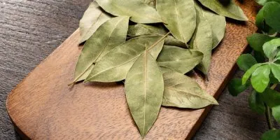 Dried bay leaves on wood