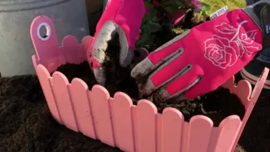 Růžový designový truhlík s květinami při výsadbě na balkón.
